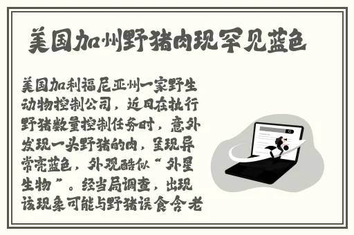 日本高清一二三区视频在线